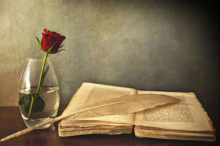 上海自考專升本好考的專業(yè)