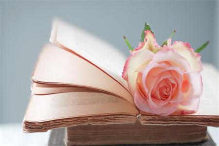 上海金山區統招專升本是每個人都可以報嘛