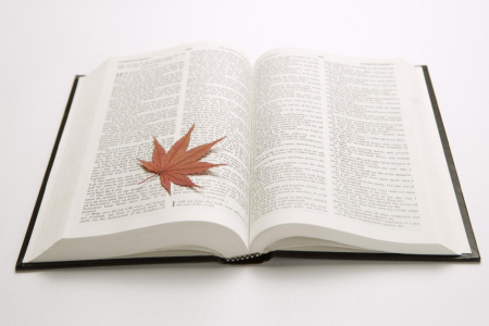 2020年上海自考專升本熱門專業(yè)