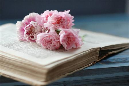 上海浦東新區(qū)自考專升本可以考研么