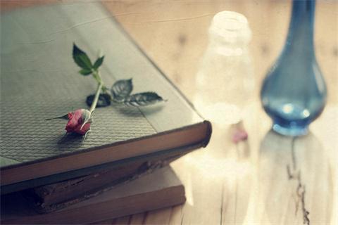 上海自考專升本專業怎么選?應該考慮這些因素!